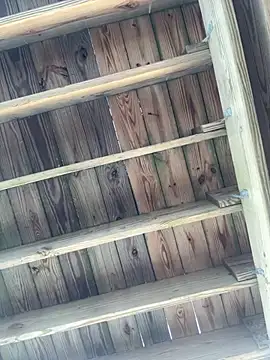 Show modela ZF-Athlete na web-kameri