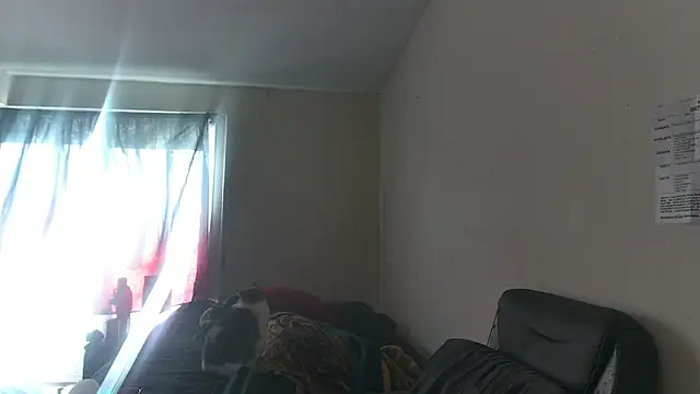 Chat +18 de RickStone51 ao vivo