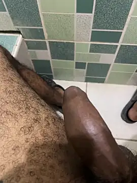 FromVnz Pertunjukan Webcam