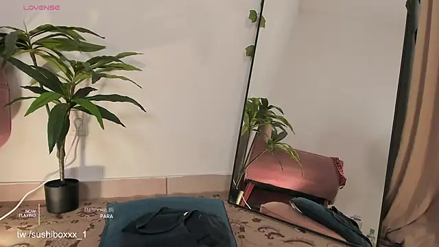 sushiboxxxn Webbikameraesitys