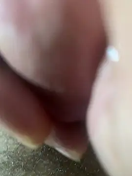 Ce3003 网络视讯表演