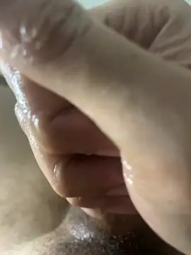 Ce3003 网络视讯表演