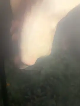 zozo971008's Live XXX Chat