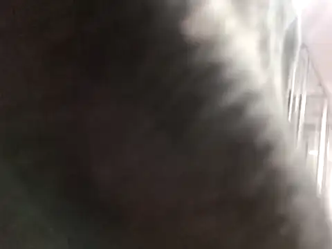 Онлайн чат XXX KissMeAss9387