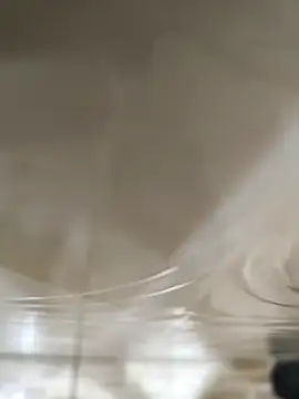 Webkamerová show Gustavo52367