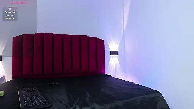 Show webcam de AnyParkert