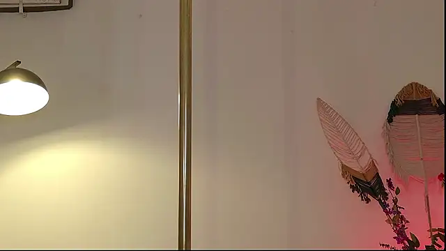 Kat_Art Adlı Modelin Canlı XXX Sohbeti