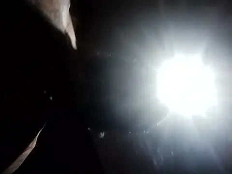 AceticPinscher élő XXX-chatje