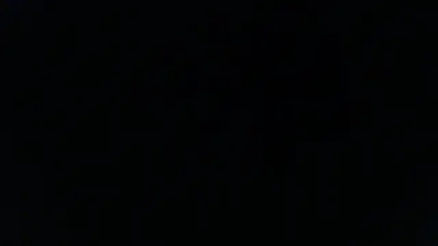 _______the's Webcam Show