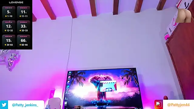 pattyjenkinss webcam show