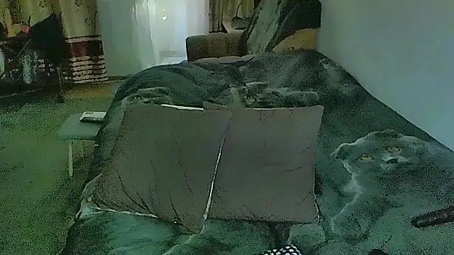 แชท XXX สดของ sex2