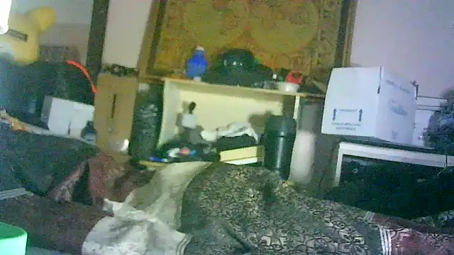 ON3YOULLN3VER_FIR3 élő XXX-chatje