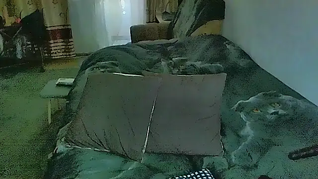 sex2: онлайн-секс-чат