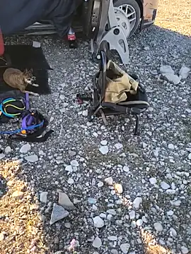 แชท XXX สดของ FloppyPickle4u