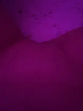 XXX chat uživo modela Business_pussy69