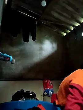 Hoa-tuylip Pertunjukan Webcam