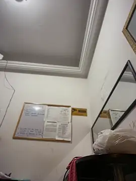 NovaFoxx's Webcam Show