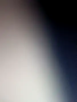 wadmma 在線直播表演