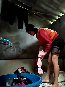 Hoa-tuylip Webcam Show