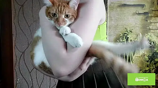 Czat XXX na żywo – sewsewsewe