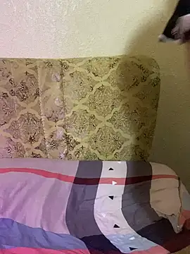 عرض كام Cameelia