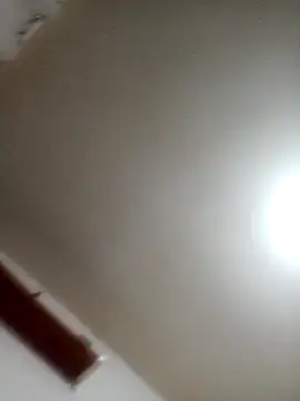 Chat +18 de T1T012 ao vivo