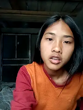 Hoa-tuylip Show Webcam