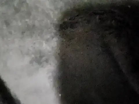 Živý XXX chat love-to-lick-ers