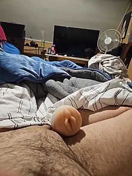 sste1n Pertunjukan Webcam