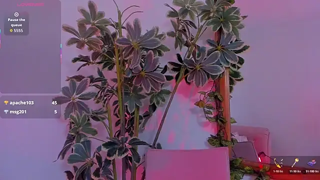 ShegoBlake – Live XXX-chat