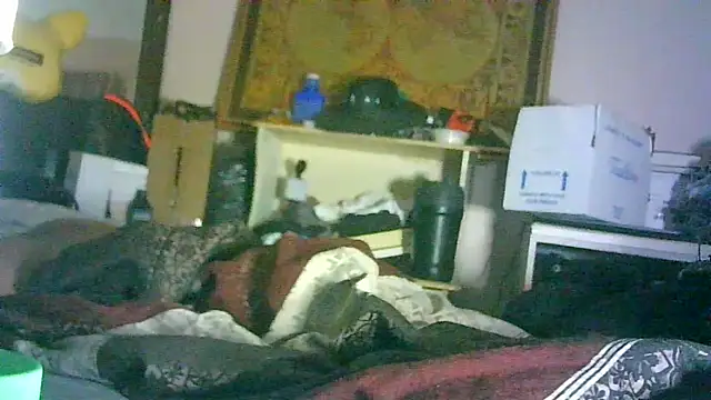 GUAPAN3S3_FIR3 即時 XXX 聊天