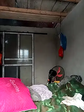 Hoa-tuylip Pertunjukan Webcam