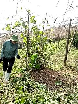 ngan-cuteのラ イブXXXチャット