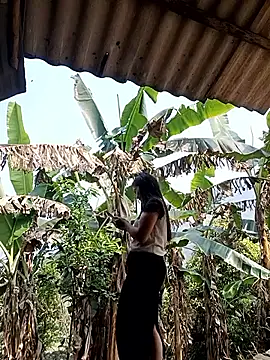 Alice-567: απευθείας συνομιλία ΧΧΧ