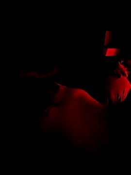 Show webcam de ShawnandDani7074