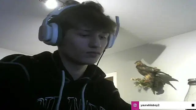 yourwhiteboy1 Webcam Show