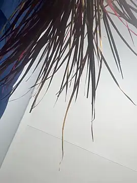 Creamy_bitchxxx 网络视讯表演