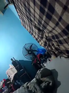 Show Webcam de Osogor_