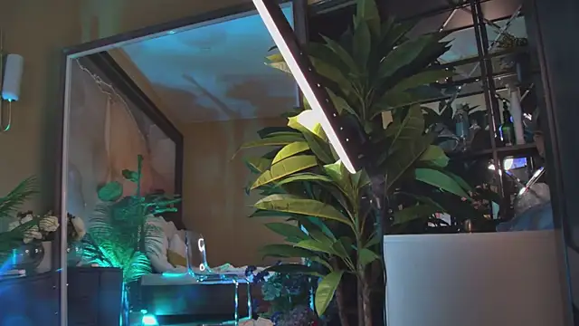 Chat XXX Live Amanda_River