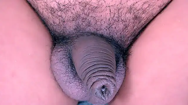 عرض كام cata_smallcock_