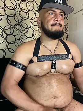 the_master_foal_ 웹캠 쇼