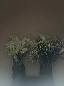 SLNatasha's Live XXX Chat