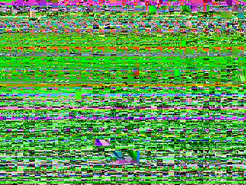 LeBimbo 现场XXX聊天