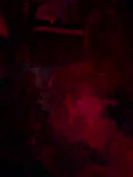 MetaDaddy 라이브 XXX 채팅