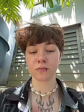 عرض كام IceMur