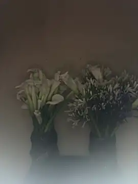 SLNatashaのライブXXXチャット