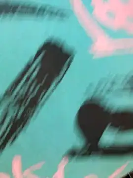 Nilanjona-Ray élő XXX-chatje