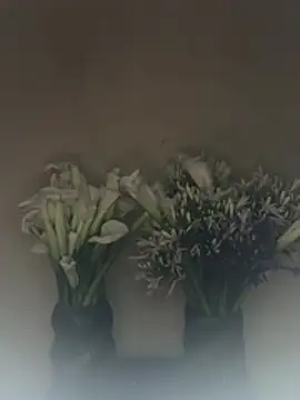 SLNatasha Live XXX-Chat