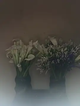 SLNatasha's Live XXX Chat