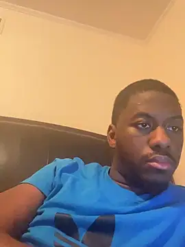 ThickDic28 Show in webcam